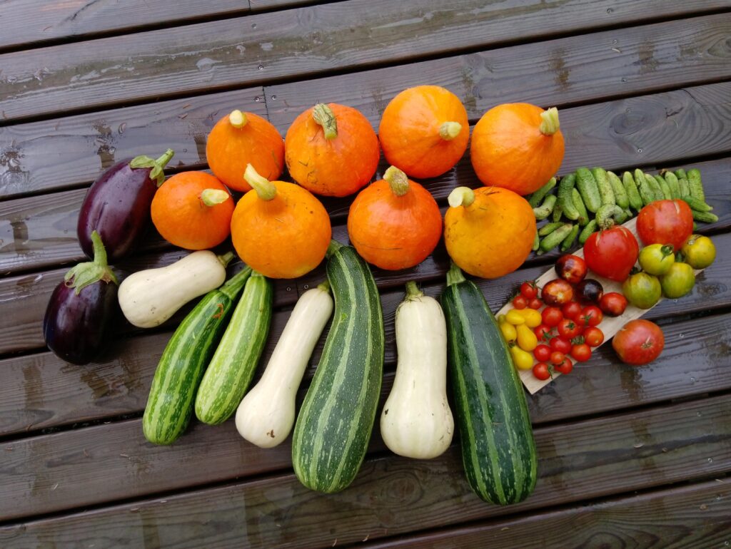 récolte de courges multicolores sur parquet terrasse