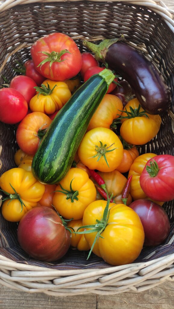 panier d'osier rempli de légumes d'été